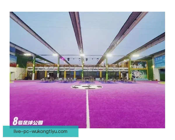 足球24小时直播平台打造全球赛事即时观看新体验沉浸式互动分析服务